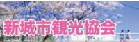 新城市観光協会
